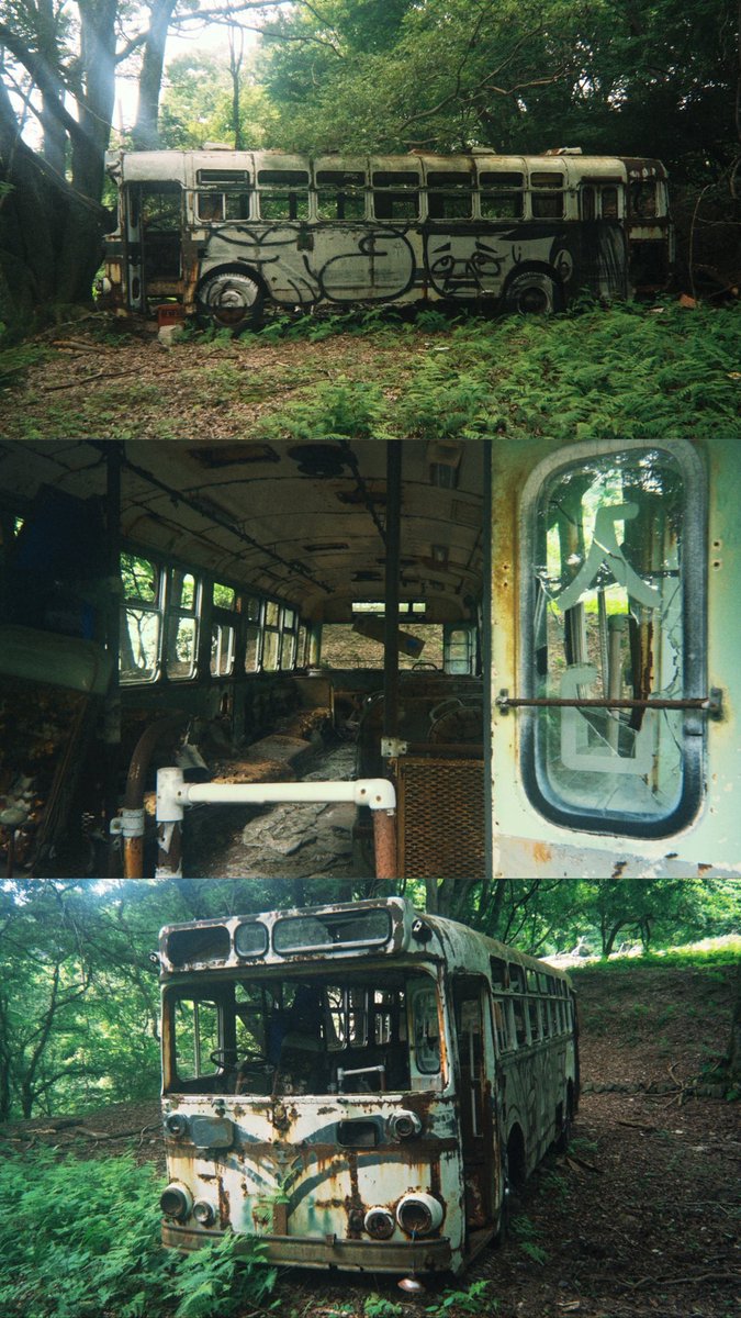 森におやすみバス