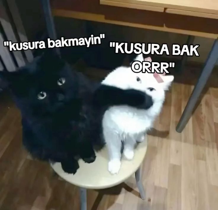 Ben ve en yakın arkadaşım