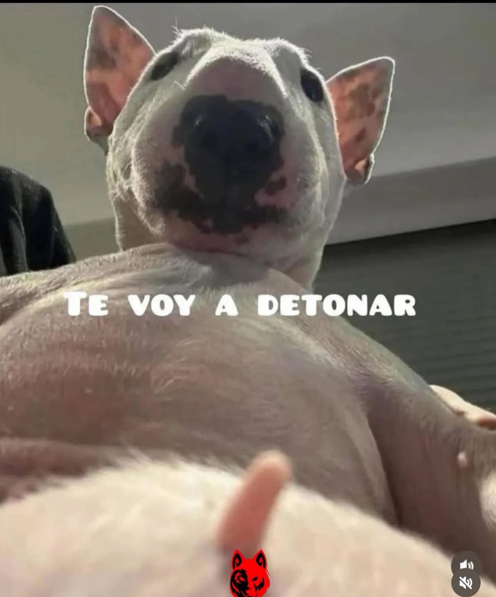 Icardi mandándole fotos a wanda,a la china y a su amante: