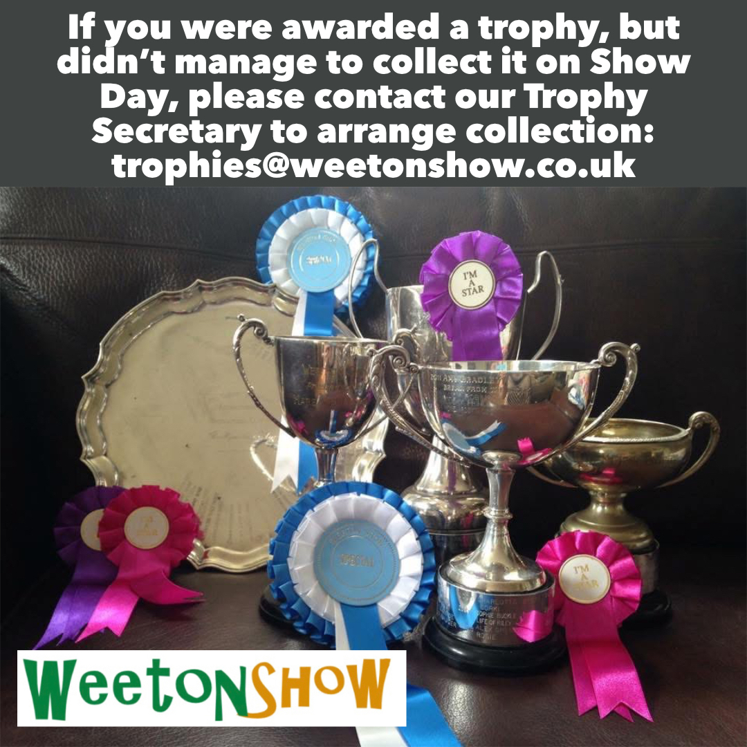 The Weeton Show (@weetonshownews) on Twitter photo 
