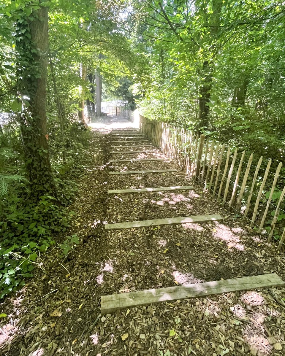 VilledeChartres's tweet photo. 🌳 Promenez-vous au #parc du Rigeard de #Chartres, cheminez à travers ses allées ombragées ou gravissez le grand escalier en bois et ses 14 mètres de dénivelé ► https://t.co/N67XxkAUD6
#chartresmaville #villedechartres #cchartres #planvert https://t.co/b23i8Blhsw