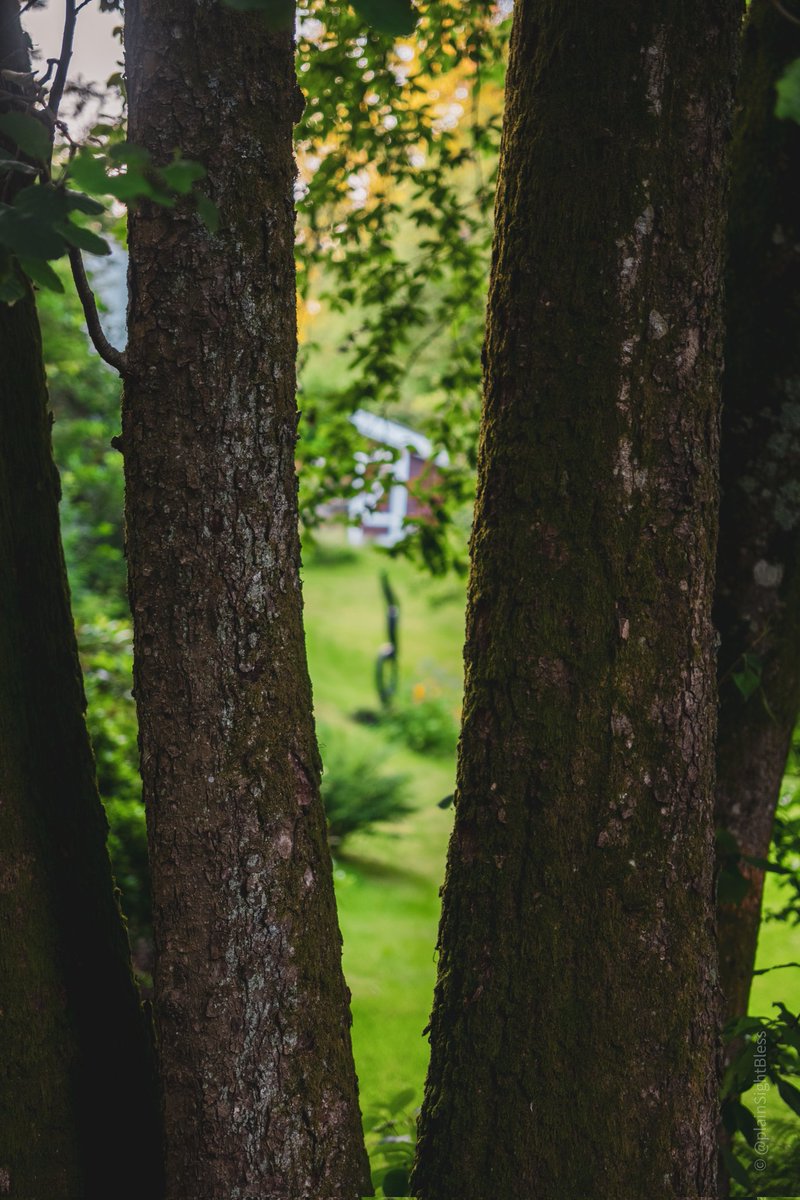 plainSightBless's tweet image. 