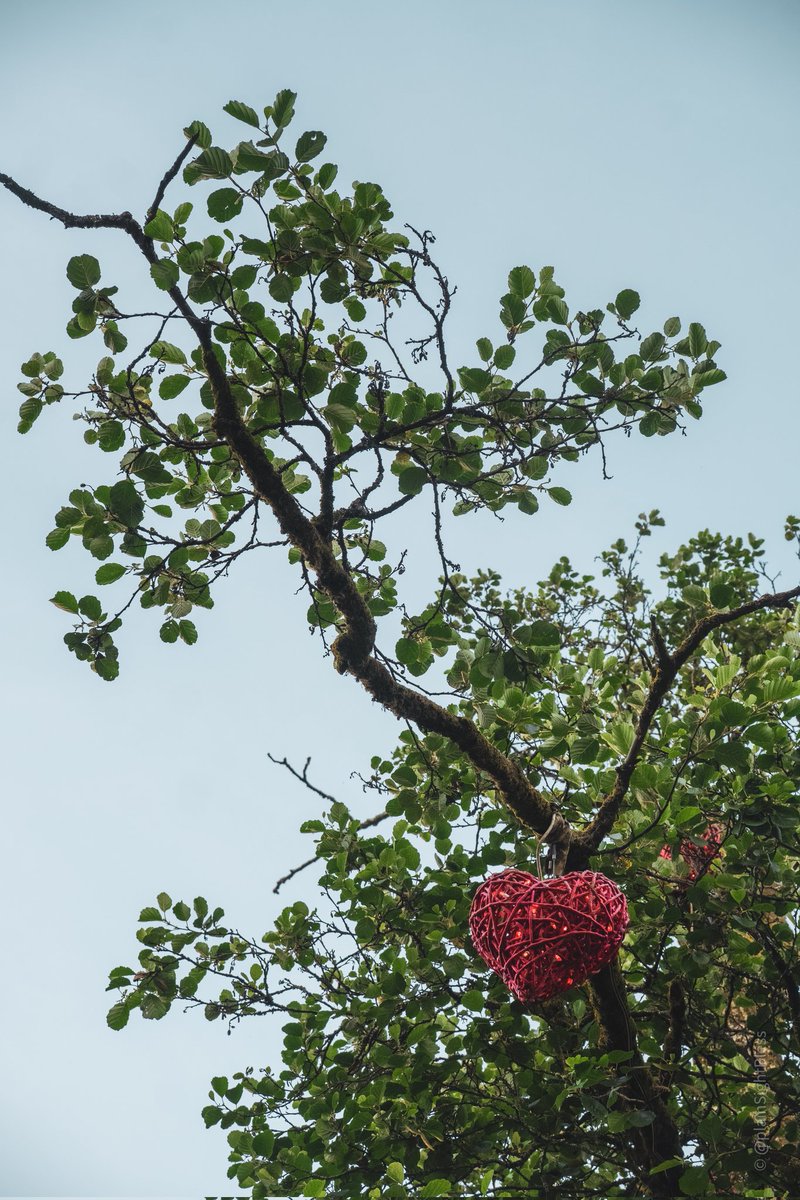 plainSightBless's tweet image. 