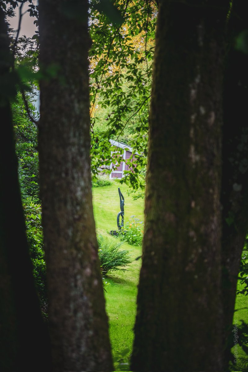 plainSightBless's tweet image. 