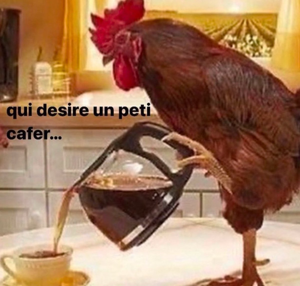 opab_'s tweet image. Tu es freelance, tu te réveilles à 8 h dans la yesslife :