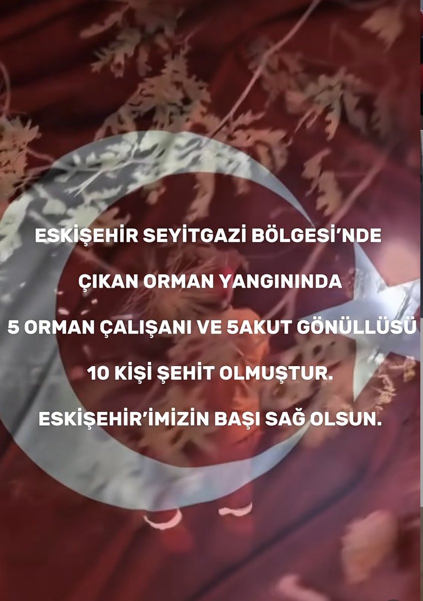 Eskişehir orman yangınında şehit olan kahramanlarımıza Allah’tan rahmet, geride kalanlara başsağlığı dileriz. #Eskişehirormanyangını