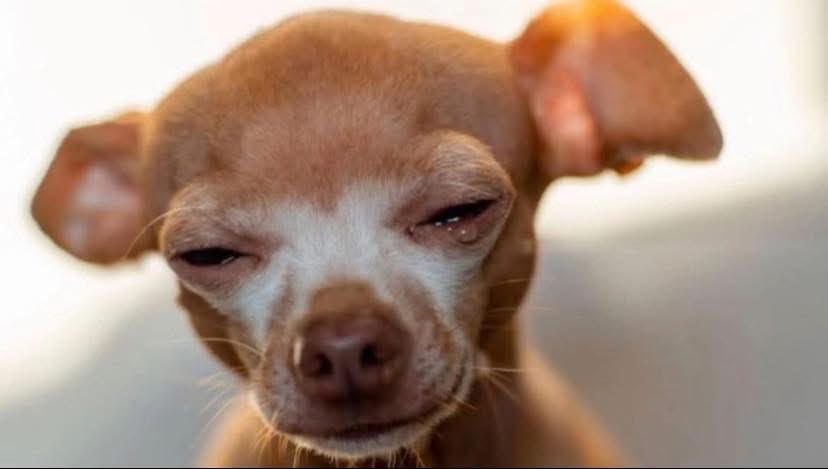 Mwineguma's tweet image. Short women🤦‍♂️😭&amp;gt;&amp;gt;&amp;gt;&amp;gt;&amp;gt;