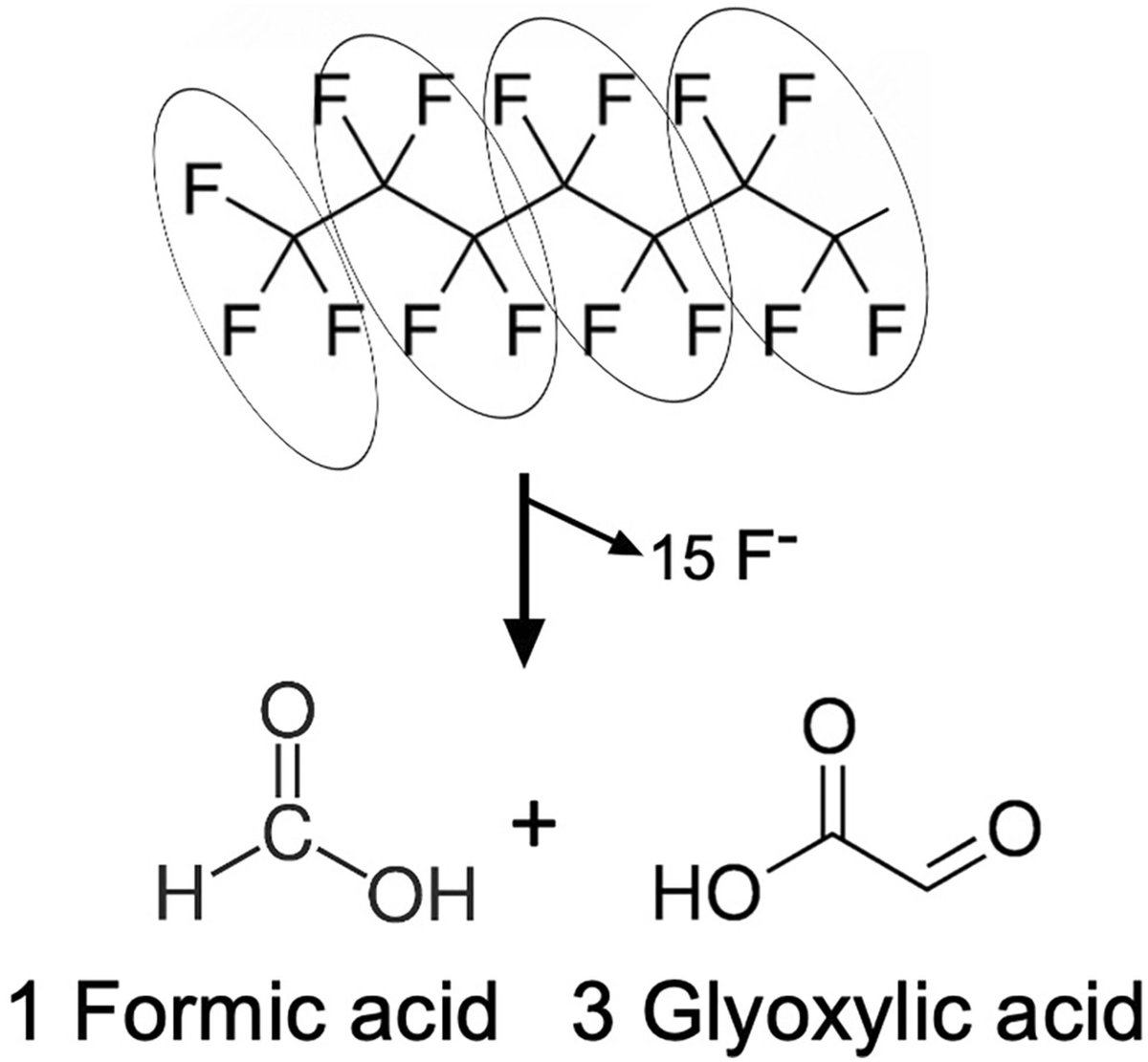 MicrobialBiote1's tweet image. PFAS biodegradation? Not impossible—but growing on compounds like PFOA as sole C/energy source faces major thermodynamic hurdles. Studies must back claims with energy calculations+best practices: F⁻ quantification, product ID, toxin handling & mechanisms. doi.org/10.1111/1751-7…