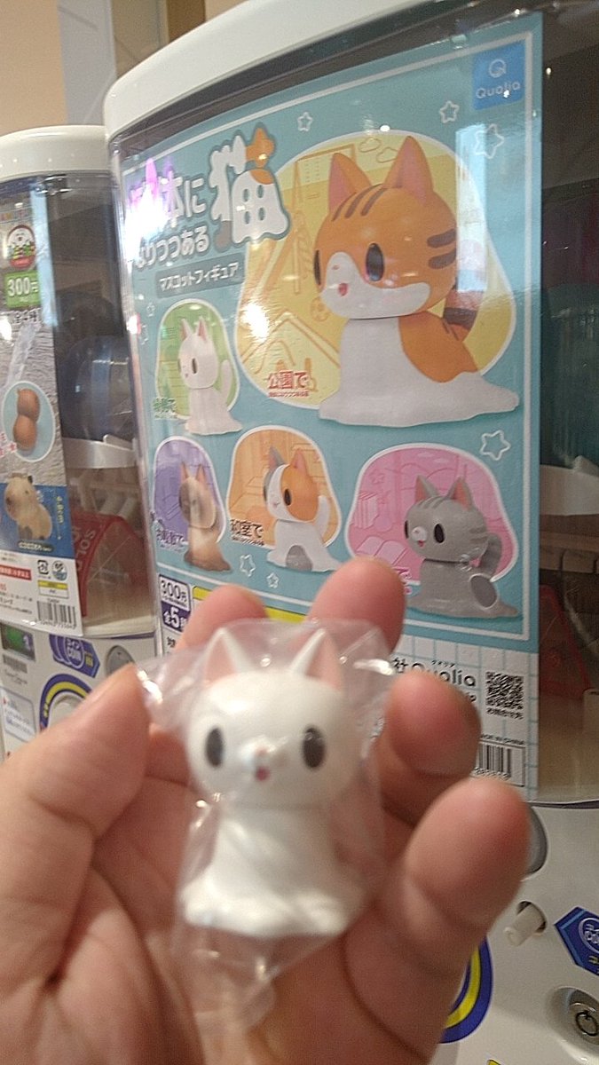 ch1ppei's tweet image. 見つけた

#ちしまこうのすけ
#液体になりつつある猫
