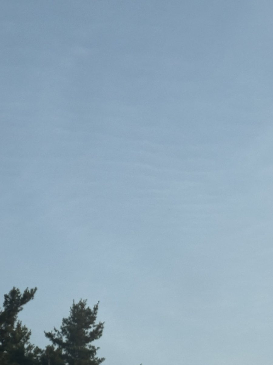 sub__tara's tweet image. Chemical frequencies blowing in from New Hampshire this morning
