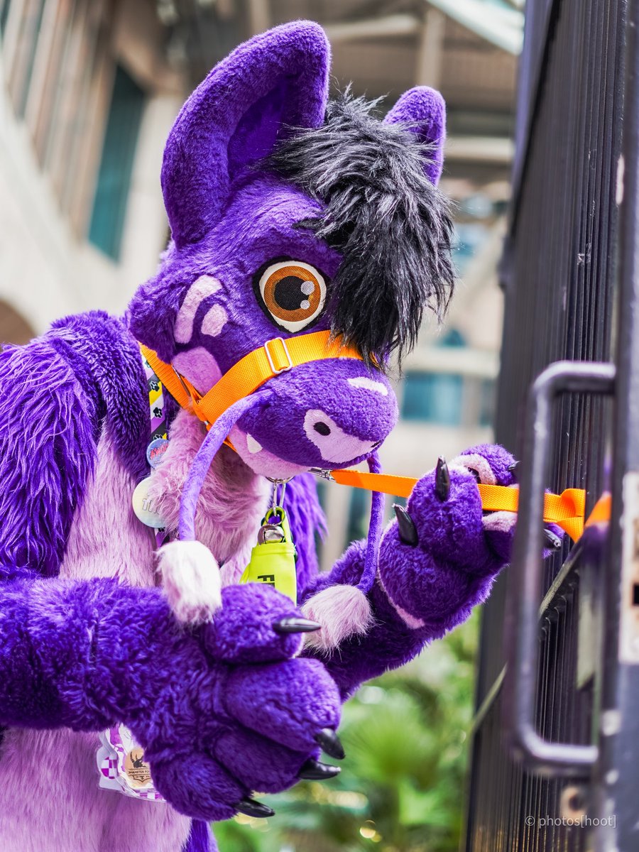 he got too silly so we tied him to the gate :3 

// ft. <a href="/KypariNoodl/">Kypari Noodl 💜</a> 🐉