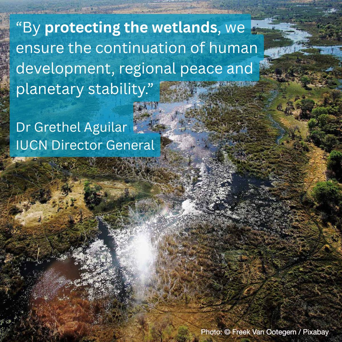 IUCN's tweet image. IUCN calls for concrete solutions to scale up wetland protection and restoration at #RamsarCOP15.
#COP15 opened today in Zimbabwe and will facilitate crucial discussions on the conservation and sustainable use of wetlands.
Learn more ➡️ info.iucn.org/4f6eQAi
@RamsarConv