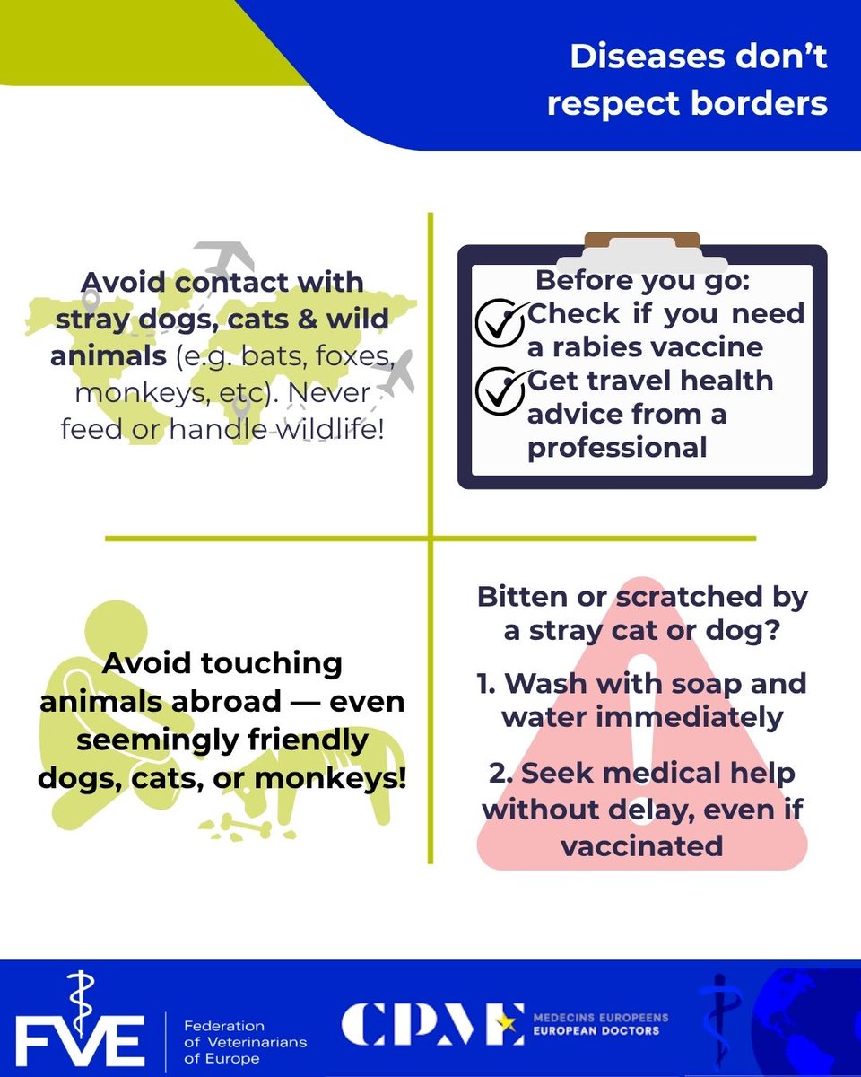 🚨Don't let rabies or other animal diseases ruin your summer trip!

We teamed up with the Federation of Veterinarians of Europe to remind that:

🌍Rabies is fatal and still common in parts of the world
🐕Avoid contact with animals when travelling abroad, even friendly ones!