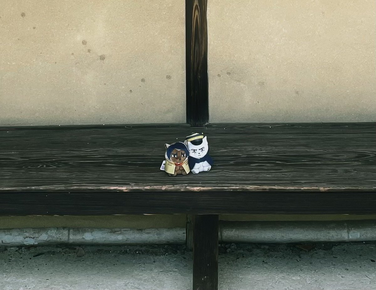a_r009_'s tweet image. お気に入りの写真