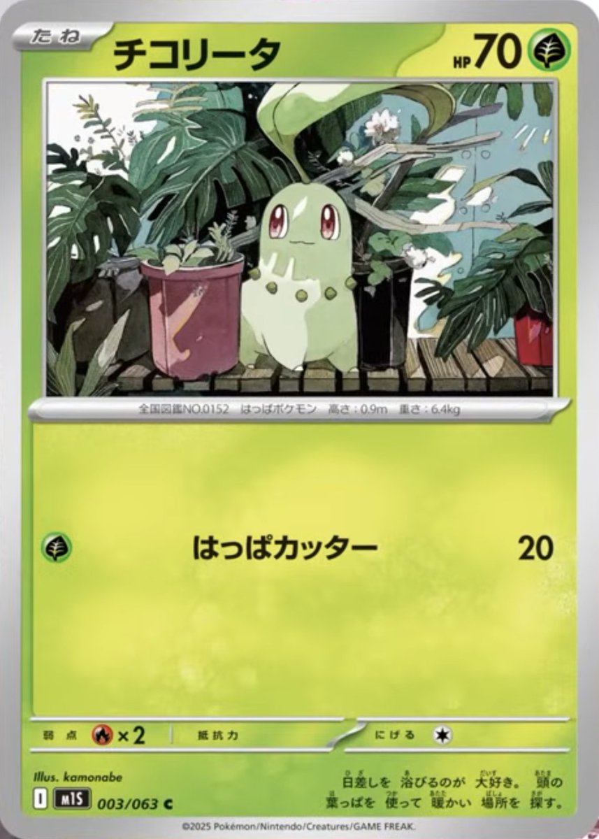 新カード公開】 ✓メガニウム ✓ベイリーフ ✓チコリータ <拡張パック