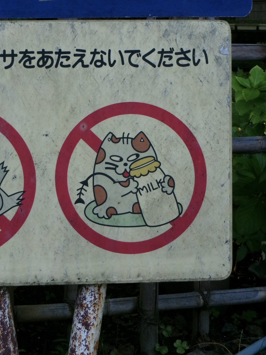 quietcatglow's tweet image. 