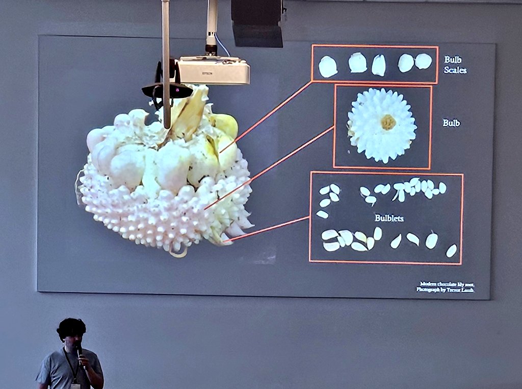 DrJenniferBates's tweet image. More #food #archaeobotany at #IWGP2025 in #Groningen. Case studies from China, Britain, Slovenia, Iraq and Alaska. Cooking methods, ingredients, and ideas of taste are all 'food for thought'. #archaeology #archaeologicalscience