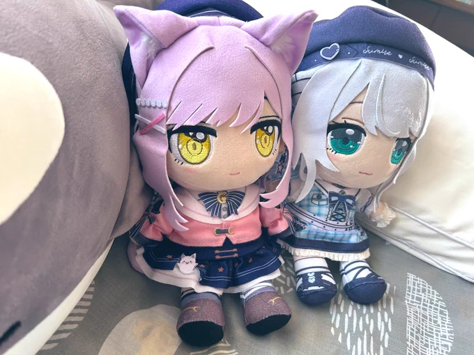 ぬい来た…kawaii…