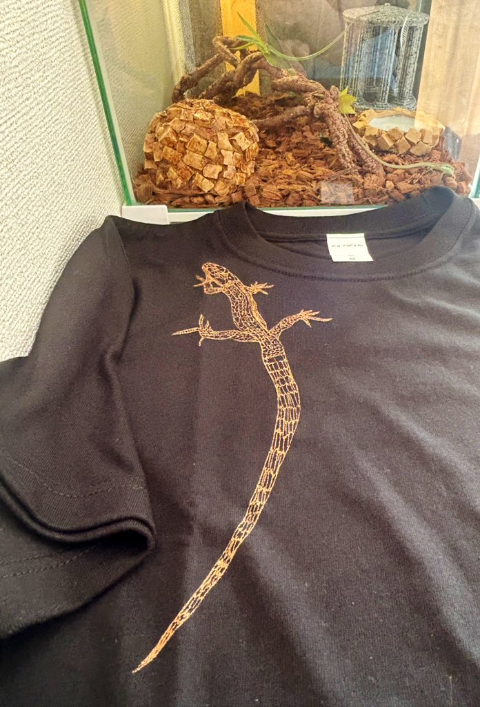 Gum1214's tweet image. 格好良い
#カナヘビ イラストのTシャツを購入しました🦎
うちの
#アオカナヘビ も気になる様子👀
小学生の男の子@kanahebikundesu
が描いたなんて才能が凄過ぎます…!!