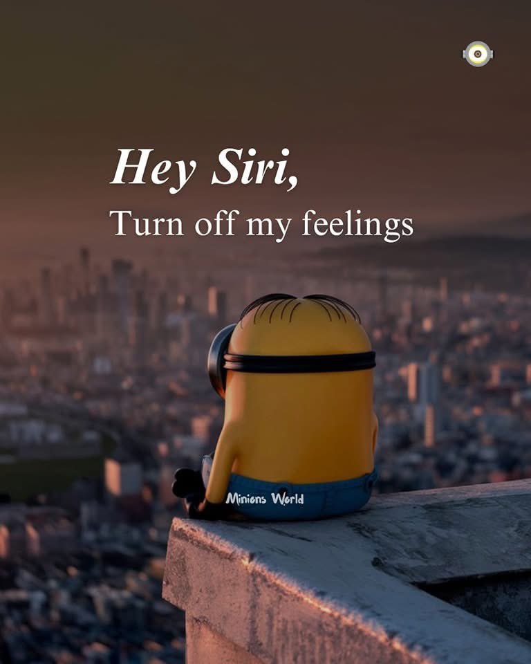 Tanhavash6's tweet image. 