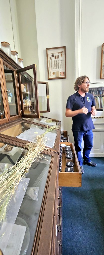 DrJenniferBates's tweet image. Incredible to be able to see the #Groningen #archaeobotany and #ethnobotany reference collection while at #IWGP2025.
Truly amazing and extensive #seed, wood, pollen and more material. #archaeology #archaeologicalscience