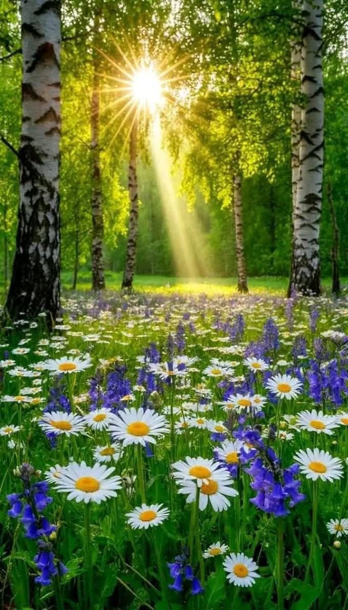 Good morning everyone 💜