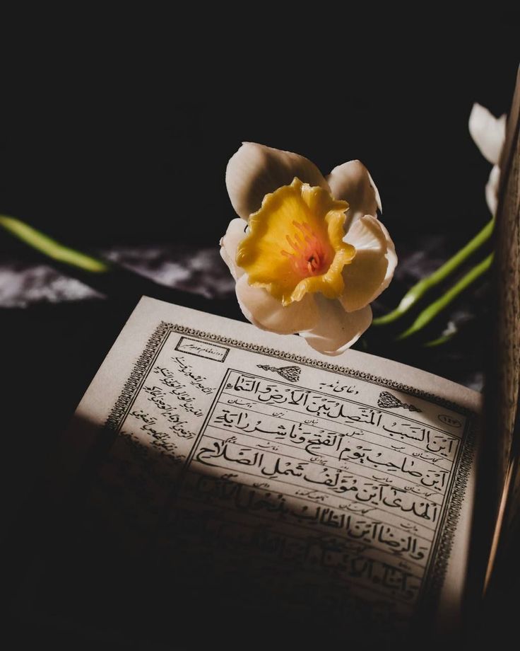 "غصن يابس بدونك يا بو صالح"..