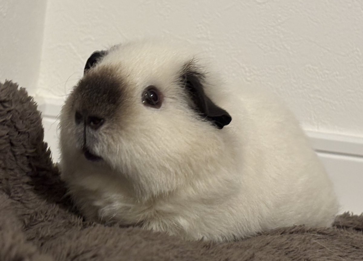 raokun03's tweet image. ﾅﾃﾞﾅﾃﾞ ﾔﾒﾁｬｳﾉ…⁇