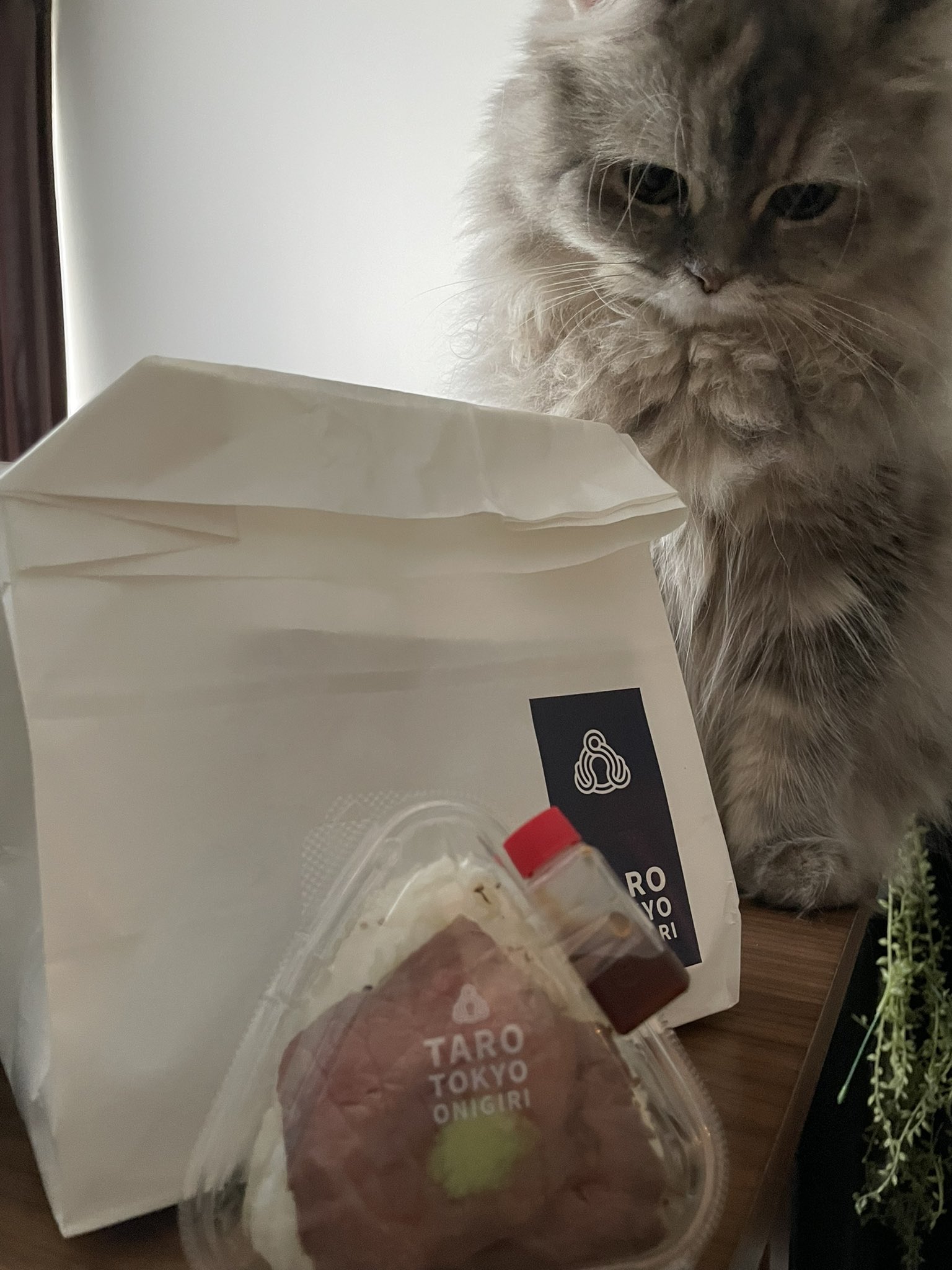 代ゼミ　明慶先生　起死回生の一撃【鬼レア劇厚】 Amazon.co.jp: UX04-095 代ゼミ 代々木ゼミナール 基礎強化英語