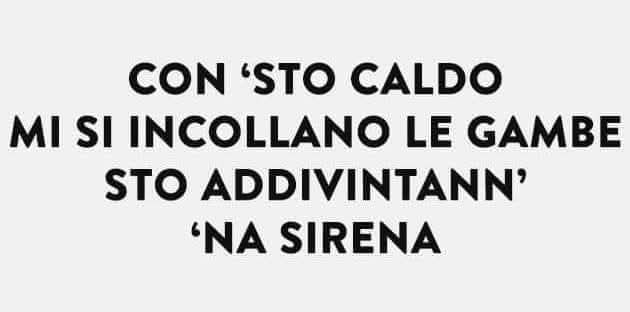 BellaDa_Vivere's tweet image. 😅😂