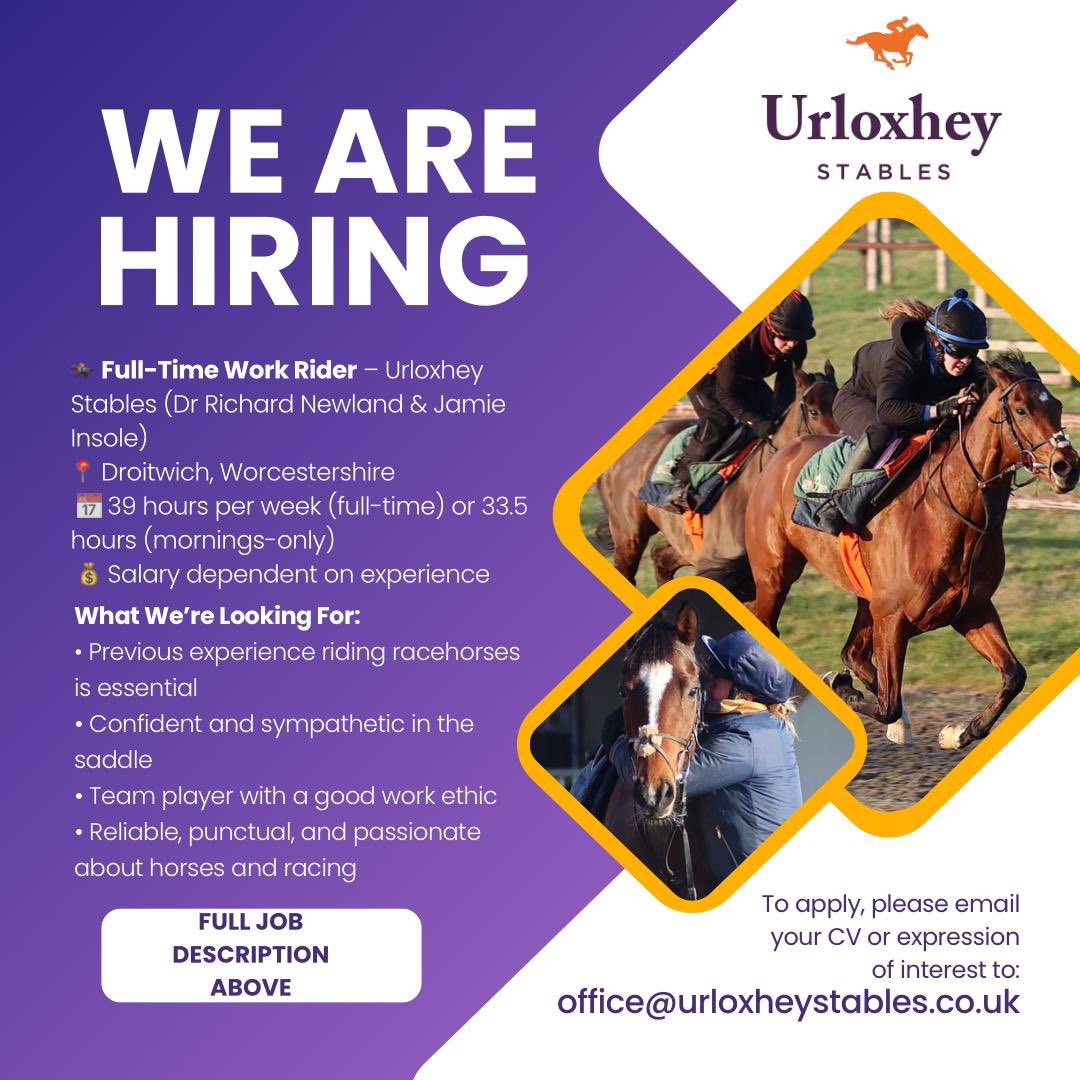 UrloxheyStables's tweet image. π£ We are hiring!
π Check out the full job description here ππΌ jobs.careersinracing.com/job/335276/worβ¦
#job #workrider #teamworkmakesthedreamwork