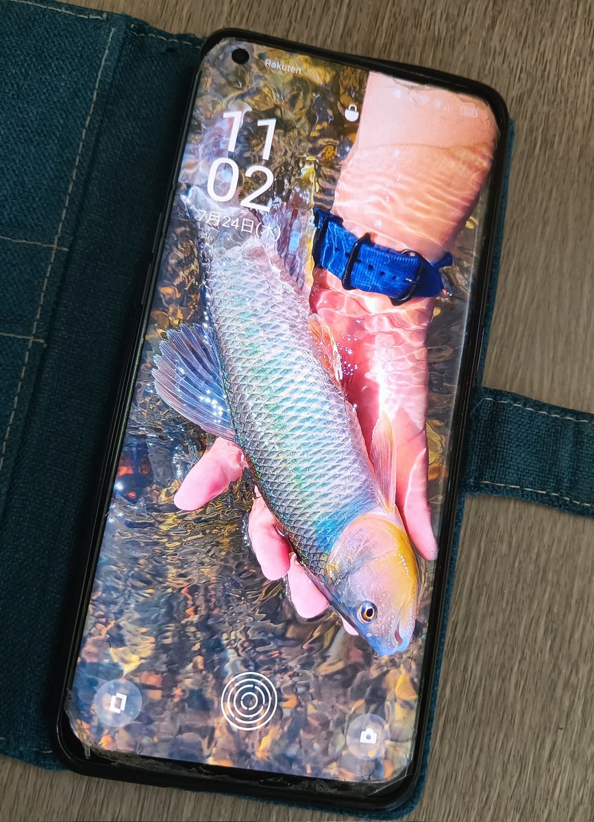 tuna_suma's tweet image. 素晴らしい壁紙になった