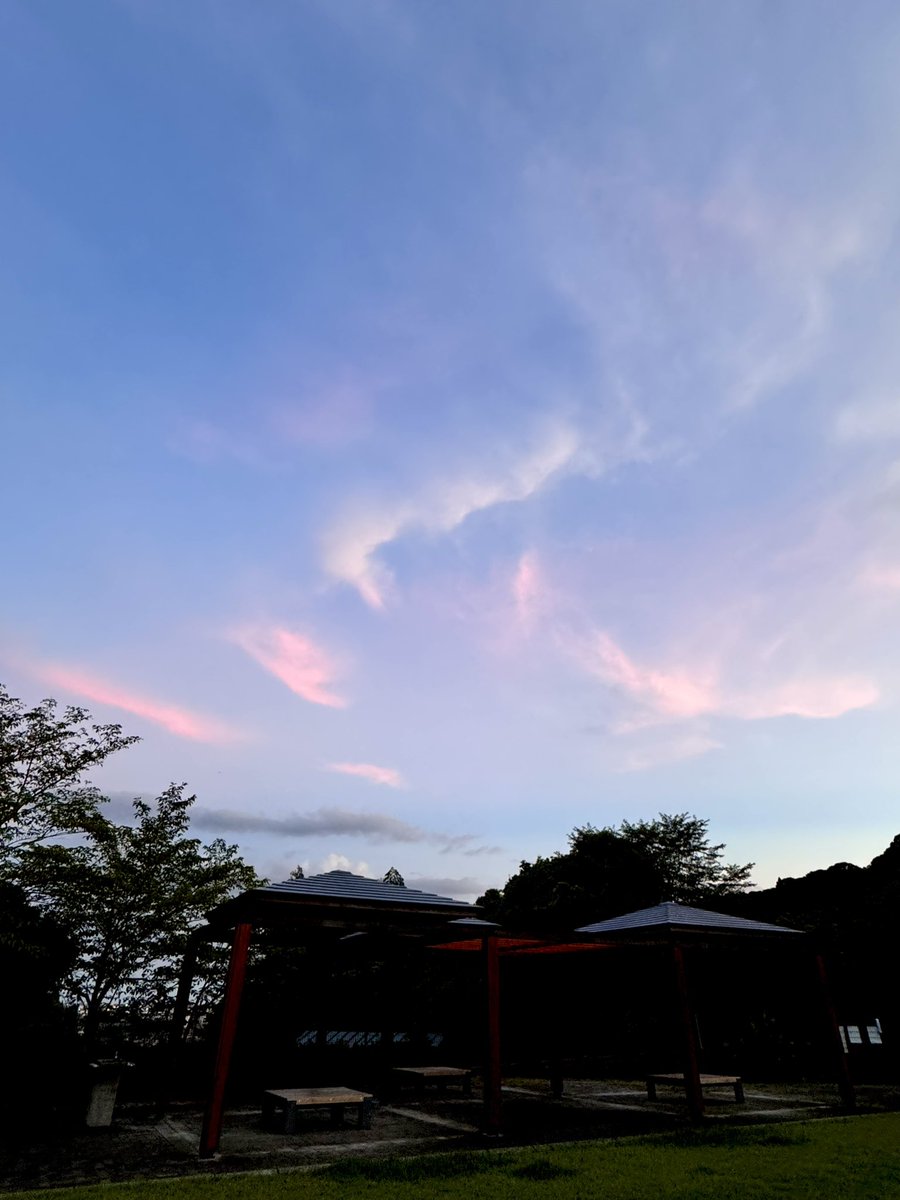 necome_titan's tweet image. 今日も寄り道。
蝉の声を聴きながら空を見てました( *ˊᵕˋ*)
明日もガッツリ暑くなりそうですね。