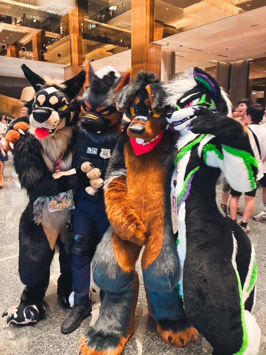 LOBO_Rottie's tweet image. 🐶🐶🐶🐺
#UTFG2025 

📷@KTorazi