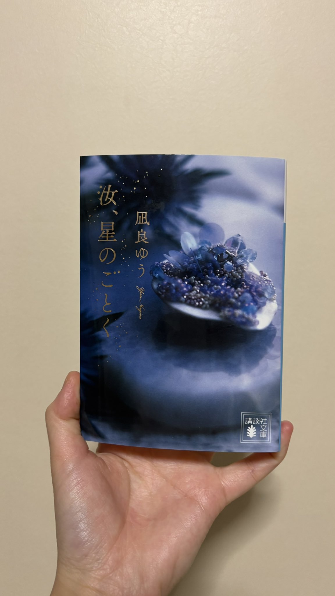 【匿名配送】凪良ゆう　汝、星のごとく　特装版　単行本、サイン入りうちわ 匿名配送】凪良ゆう 汝、星のごとく 特装版 単行本、サイン入り