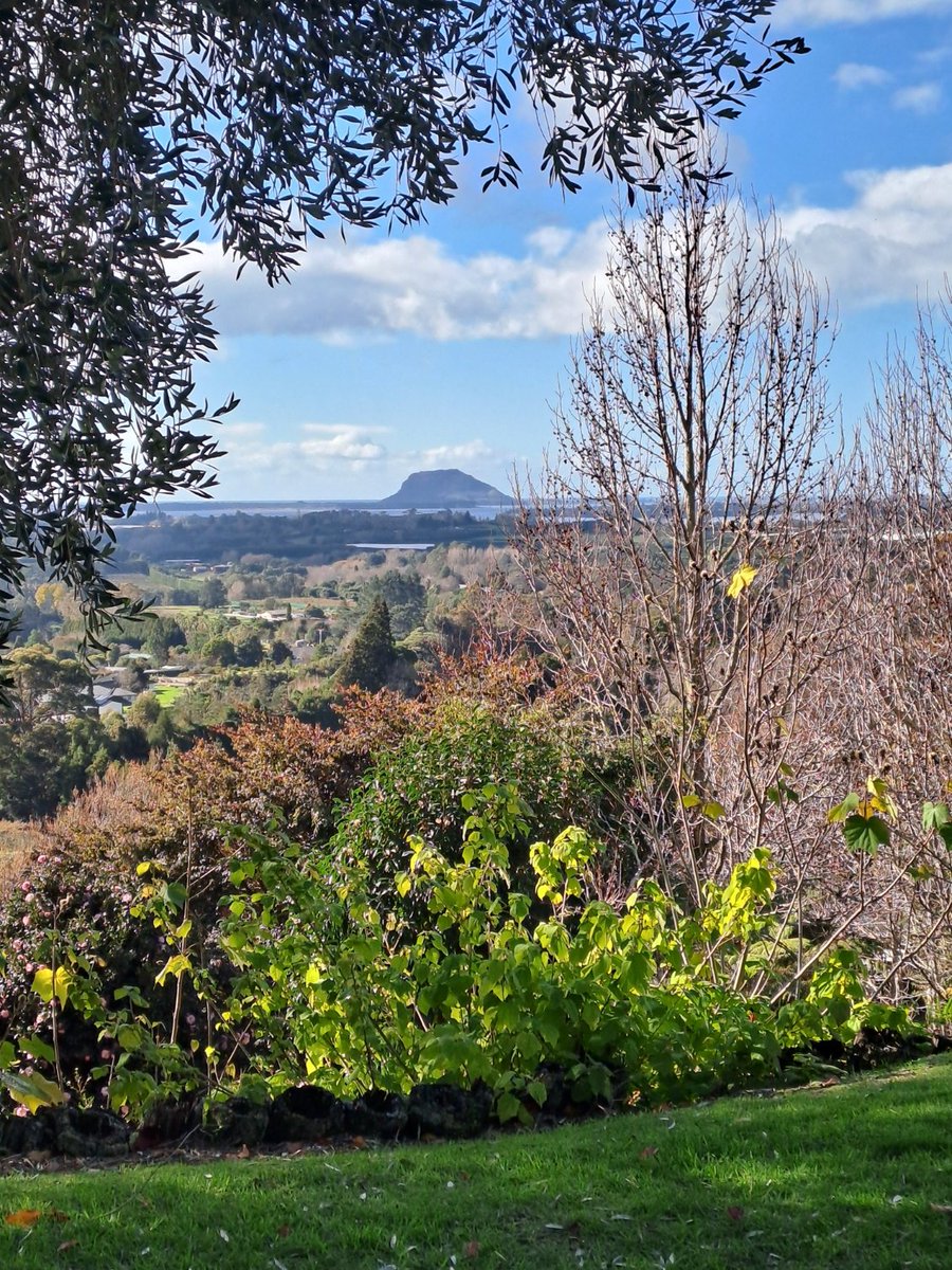 'Success tends to create pride and blindness in the hearts of men, while suffering teaches them to be patient and strong.' (Xenophon)