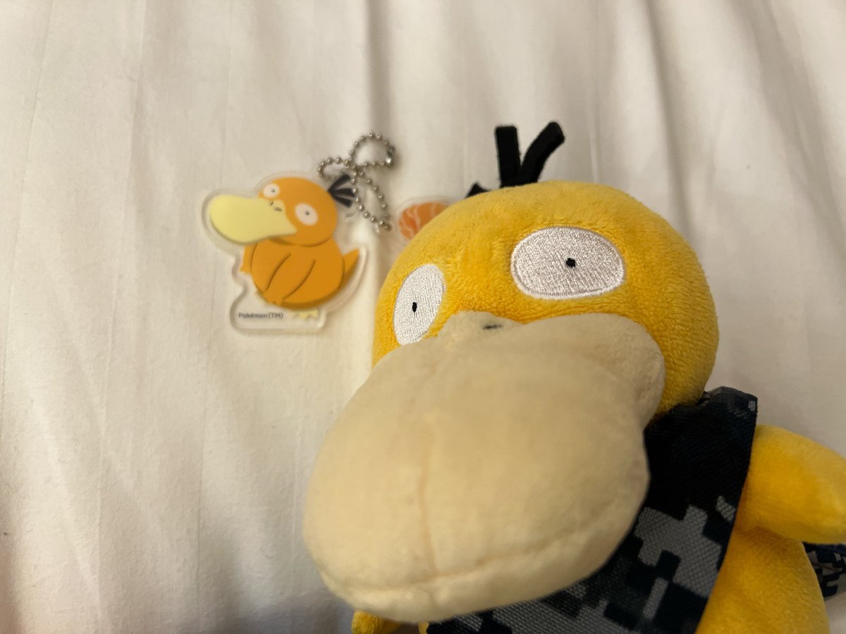 Sgt_Psyduck's tweet image. 今日、コダックが出ずモクローが3匹被って凹んでたら、おかげ庵でたまたま隣の席にいたお姉さんがコダぐんそーに気づいてくれて「私モクロー推しなんで、これ、良かったらどうぞ」ってコダック差し出してくれてこちらはモクロー差し出した🦉
念願のコダックゲット🐥
お姉さん本当にありがとう🙇♀️