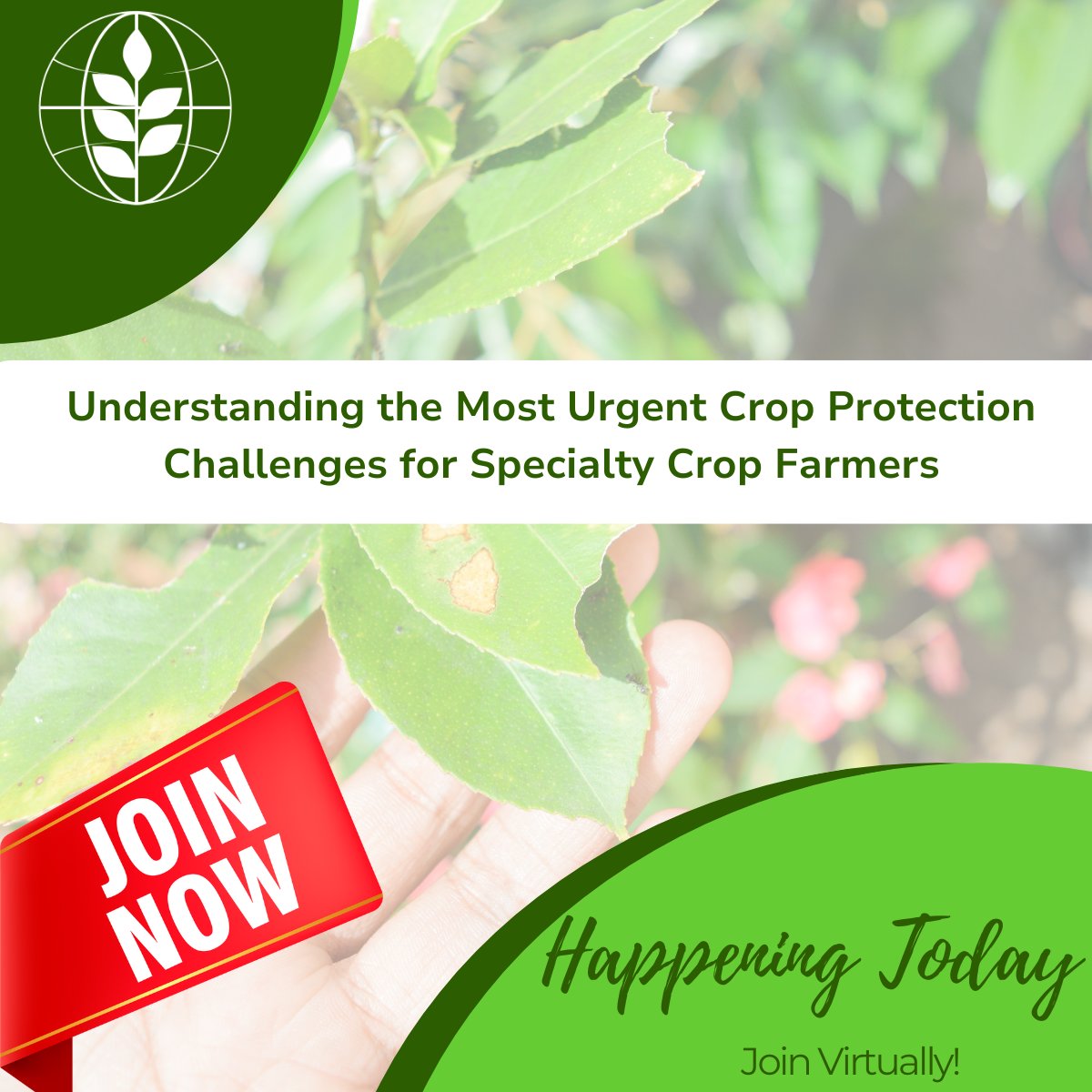 MinorUseFndn's tweet image. In partnership with the @CASTagScience, the Foundation is hosting a free, public webinar today (July 24, 2025, at 1:00 PM EDT) to present the results of the 2025 Global Priority Setting Process. Register here: members.cast-science.org/ap/Events/Regi… #MinorUseFoundation #CASTWebinar #MinorUses