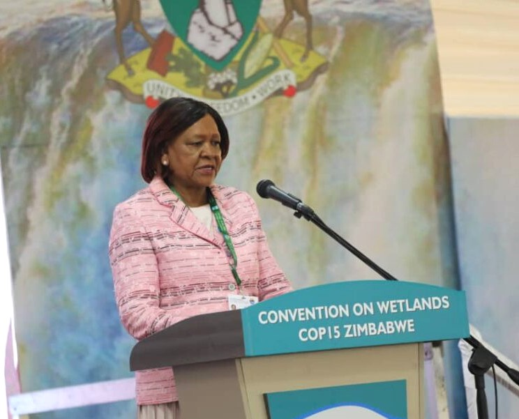 ZWClimateBrief's tweet photo. Minister of Environment, Climate &amp; Wildlife Evelyn Ndlovu says the future of global wetland conservation hinges on empowering indigenous &amp; local communities. She called for collaboration to safeguard wetlands amid the triple planetary crisis. https://t.co/r93eFUE7v5 #RamsarCOP15 https://t.co/FUvGEI8vpC