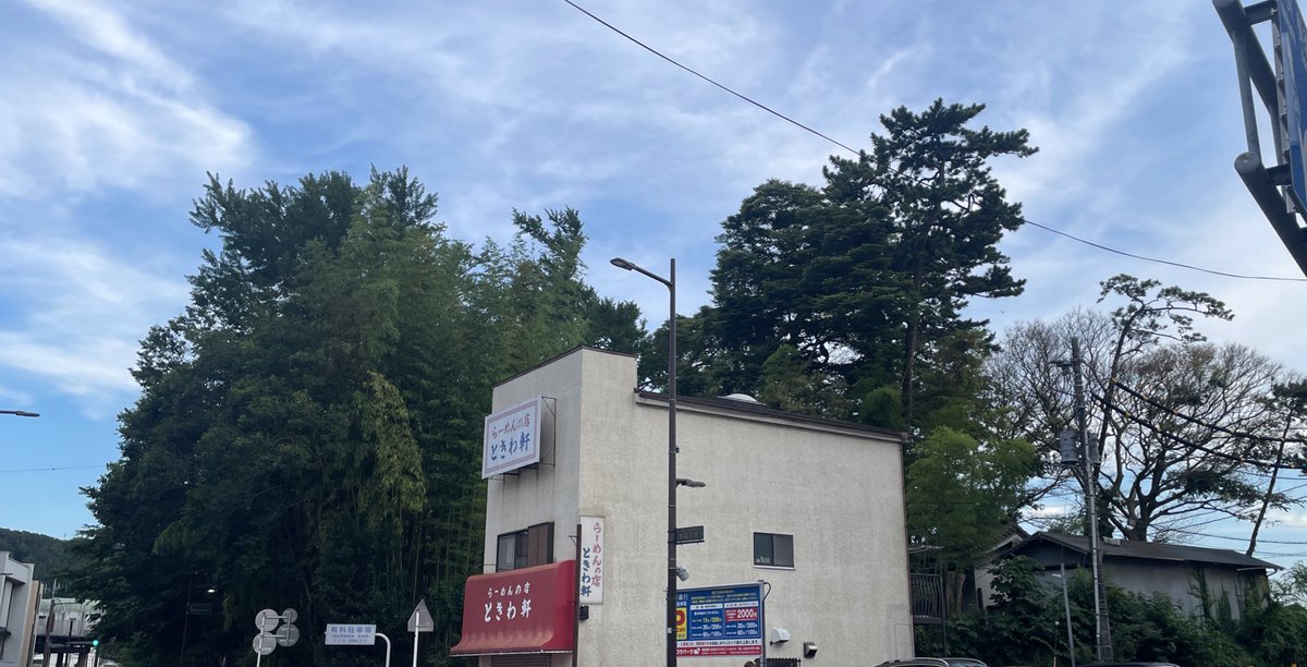 star21_319's tweet image. 逗子葉山の竹林と松