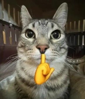 dina_michi's tweet image. vei é tipo mttttt errado não mono que sente tesao em possessividade sabe pena q é uma delicia errar