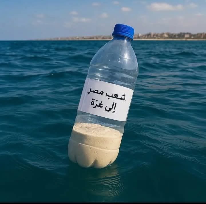 DrSabirplf's tweet image. مصر کے عوام غزہ کی مدد کرنا چاہتے ہیں لیکن مصری حکومت امریکہ کی غلام ہے جس نے غزہ کے زمینی راستہ رفح کراسنگ پر راستوں کی بندش کر رکھی ہے۔
#فلسطین