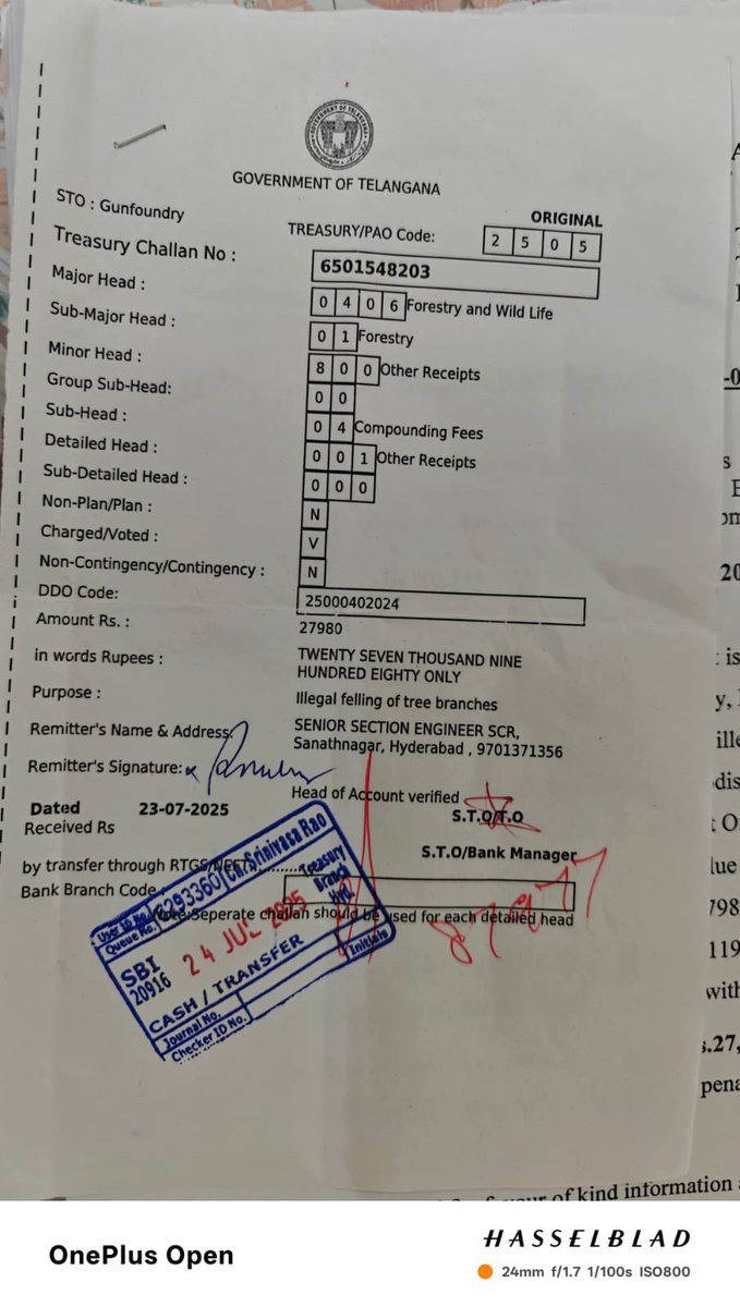 vata_foundation's tweet image. @SarojiniJainap2 Ma’am hats off to your persistent follow up with @HarithaHaram to bring the culprits to book!!! 

Your complaint with FD has resulted on a fine of Rs 27980/- to @IRCTCofficial 

Hoping for more such action from our Forest Dept

#SaveFullyGrownTrees