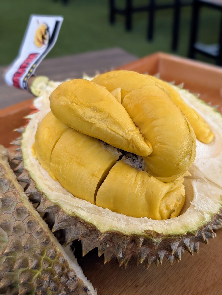 Di Gandaria City lagi ada festival durian tuh. Harga Musang King sama Blackthorn-nya lumayan make sense. Sikat!

Legit bener ini dua durian..