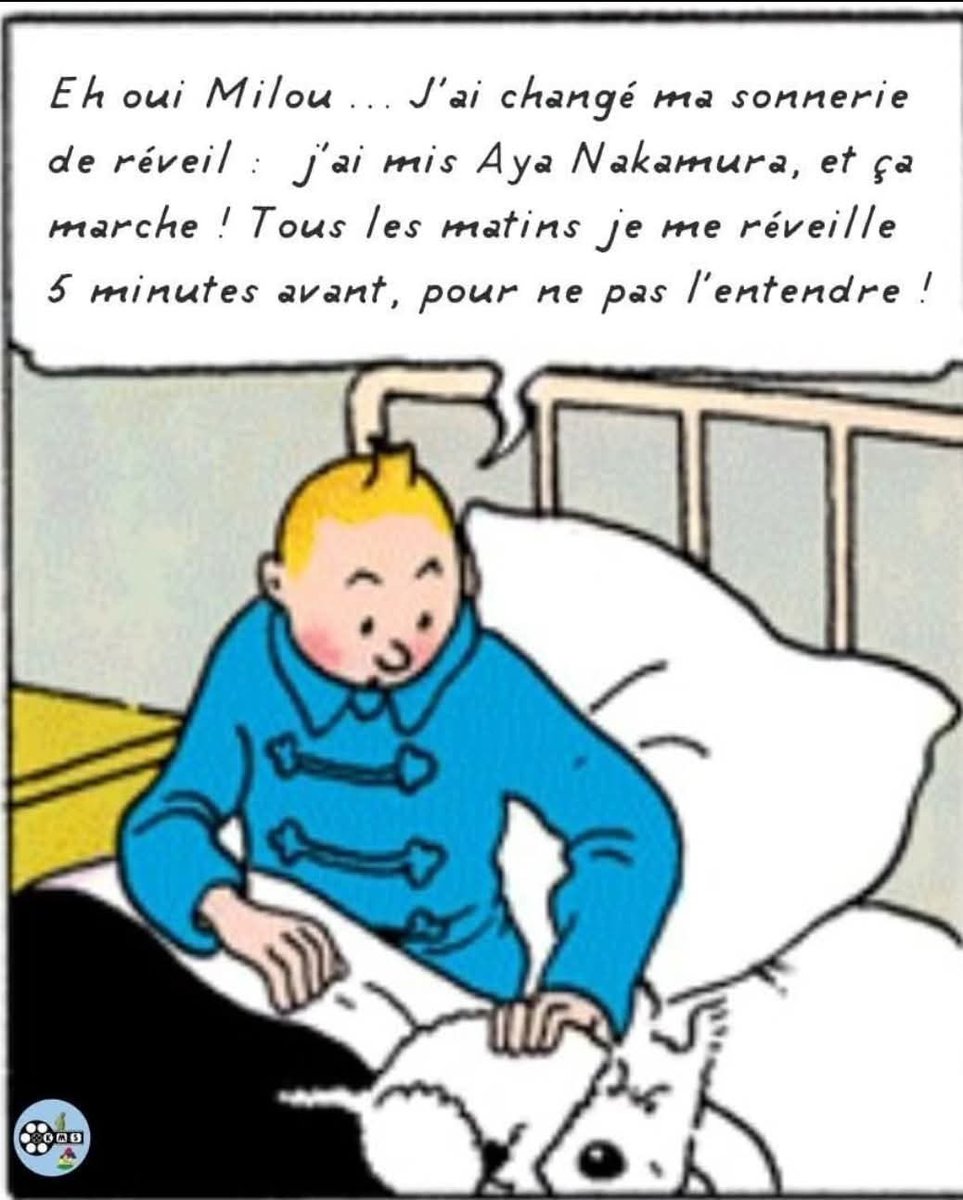 EricNaulleau's tweet image. Je salue cette réponse à tous ceux qui prétendaient qu’Aya Nakamura ne servait à rien…