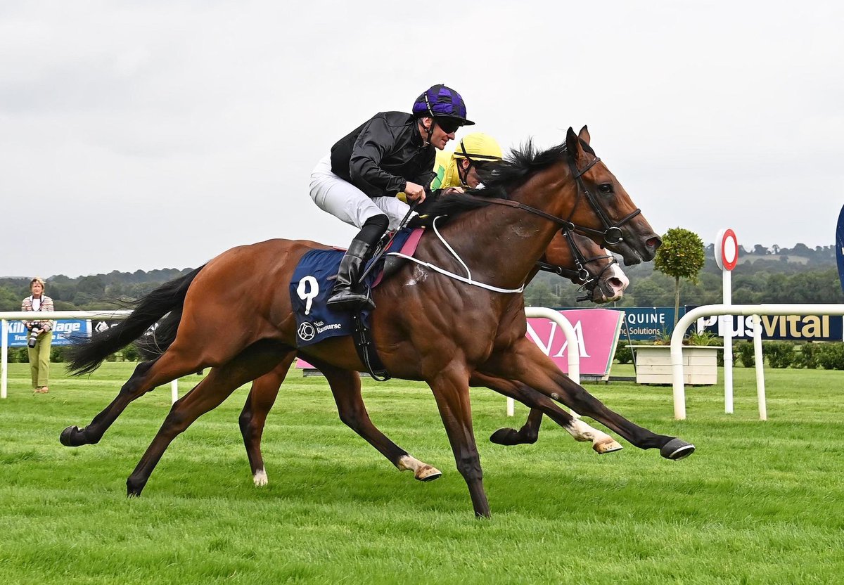 coolmorestud's tweet image. No Nay Never Newcomer Delivers Smart Performance.
Red Earth (2c No Nay Never – Catch The Eye, by Oratorio) shaped like a smart prospect when... bit.ly/44J9mrA