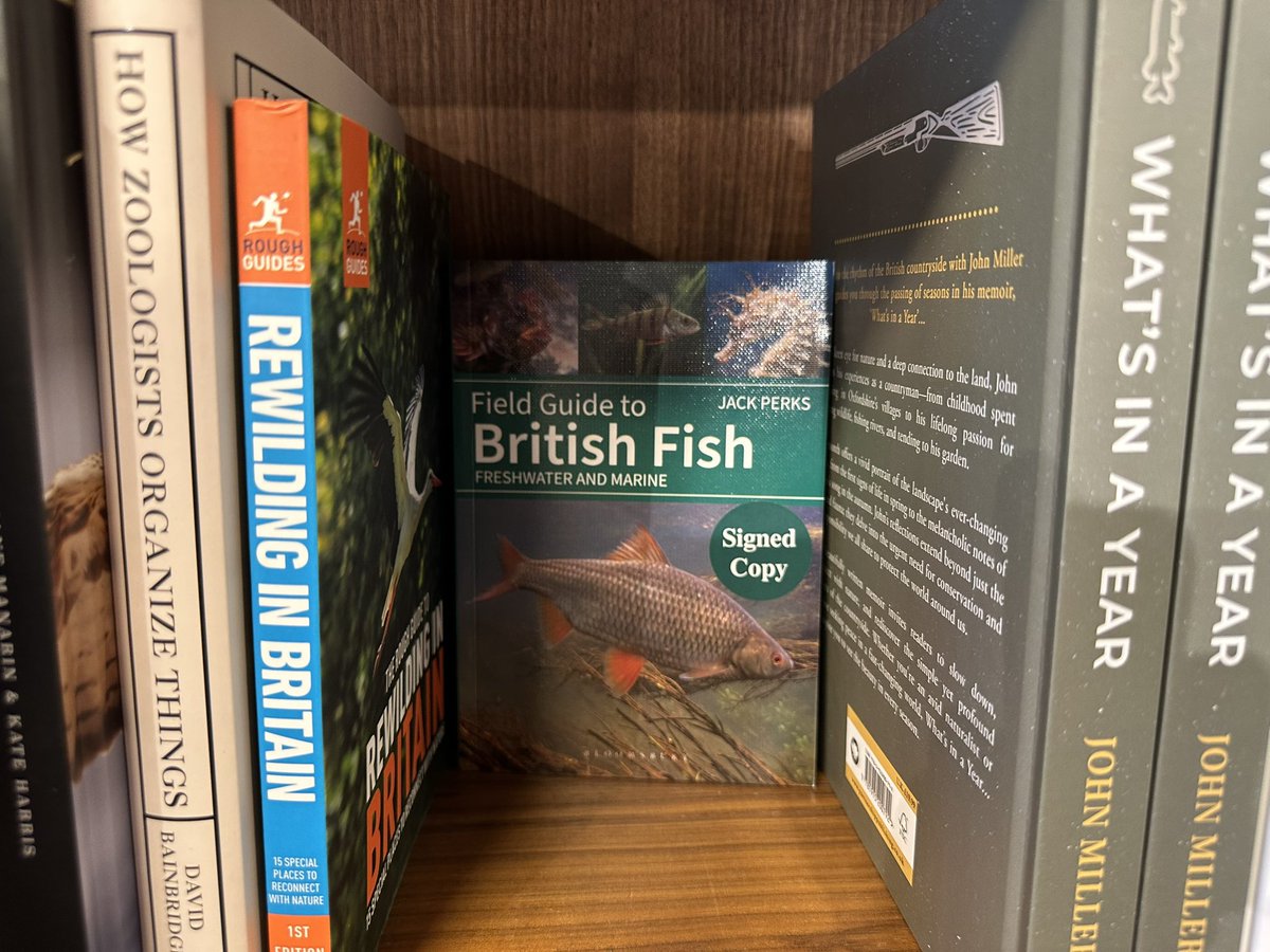 JackPerksPhoto's tweet image. Still feels like imposter syndrome when I see my book in shops! I signed a copy at White Horse Bookshop in Marlborough lovely little independent shop