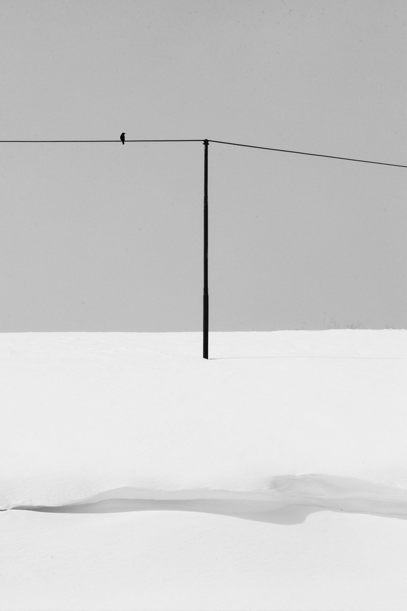 Hello!
 Friends, none of my 2107 Tezos were returned, I must say they were all stolen, although it is hard, I will forget about them, I am here and I minted some new works today, thank you for your continued support

"Lonely cold days"  7 #tezos
Link:
objkt.com/tokens/hicetnu…