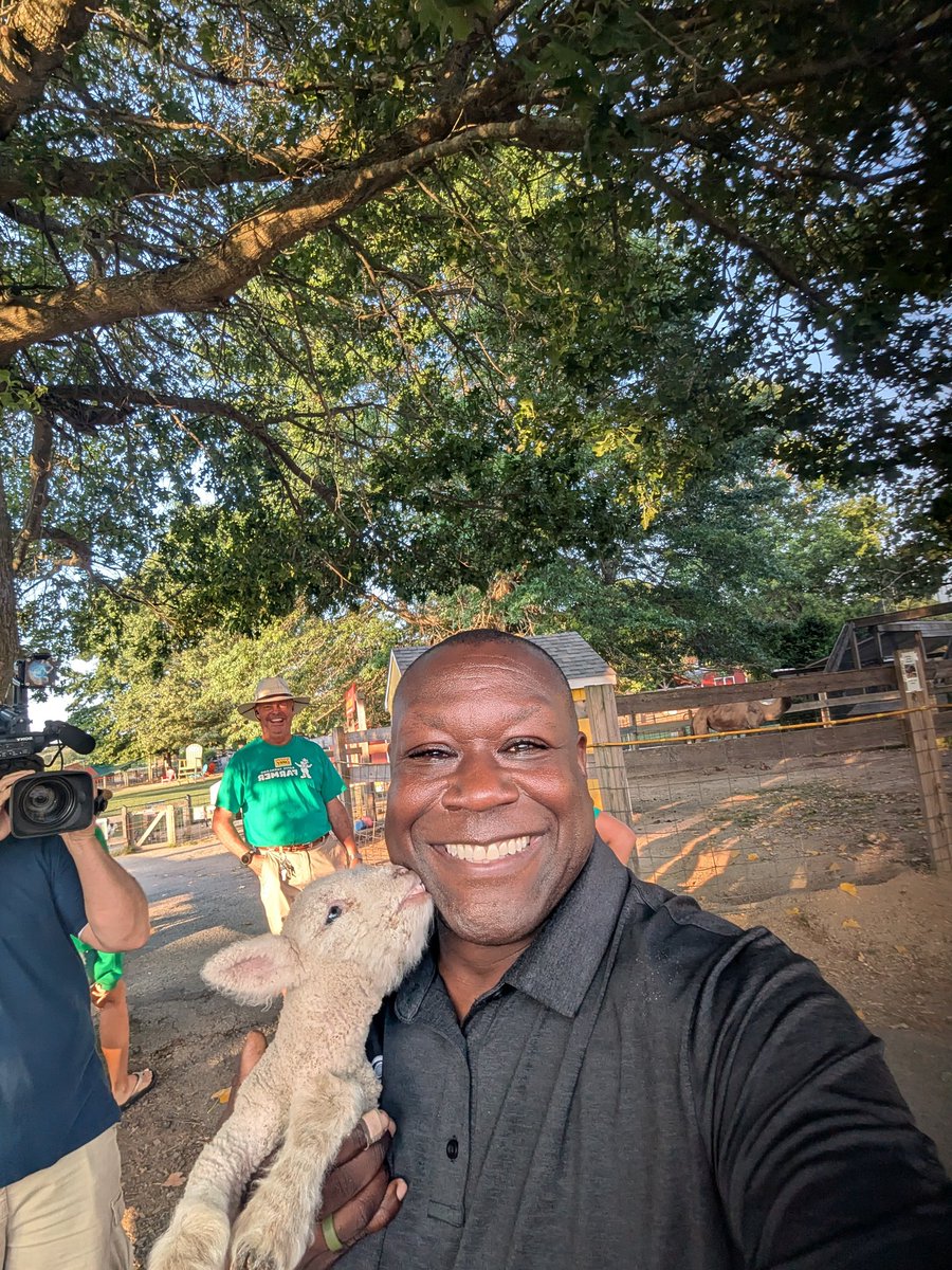 LevanReid's tweet image. Here we go and funny story. This is baby Levan. I have a lamb named after me. It was born as I was setting up this story.. holla
#WBZ #DavisFarmland