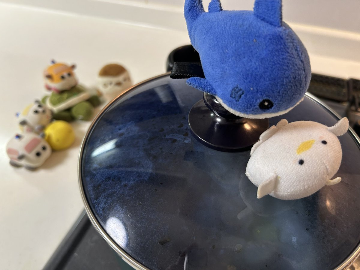 micha_micha7's tweet image. 鶏さんの残った油で筑前煮の素を炒めてから鶏さんを戻して
お酒、お水、砂糖、みりんを入れて蓋をして蒸し蒸しです🐥
あー😮💨蓋といえば
やっぱりシャーくん🦈とひよこちゃん🐤の
蓋の取手とり勝負なのね😂